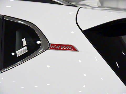 2015�� 1.5T �Զ���������