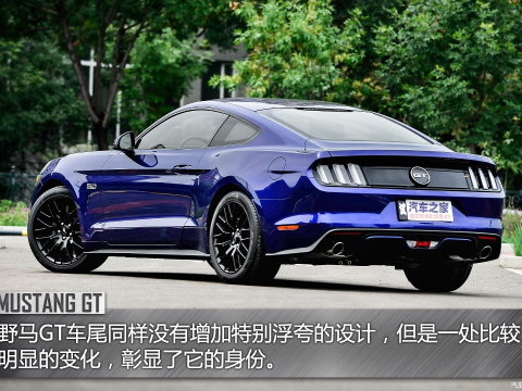 2015 5.0L GT ܰ