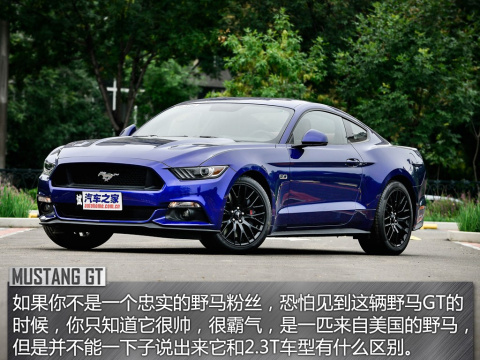 2015 5.0L GT ܰ