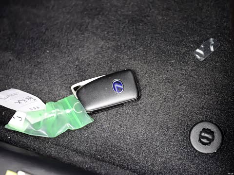 2016�� 450h ��������