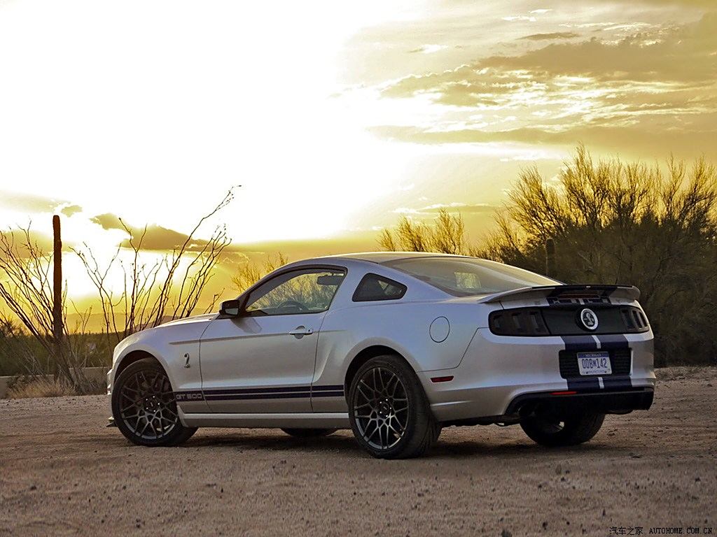 福特(進口) 野馬 2013款 gt500