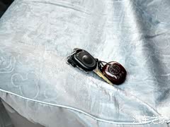 2010�� 1.4L������