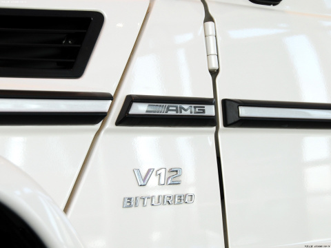 2013 AMG G 65