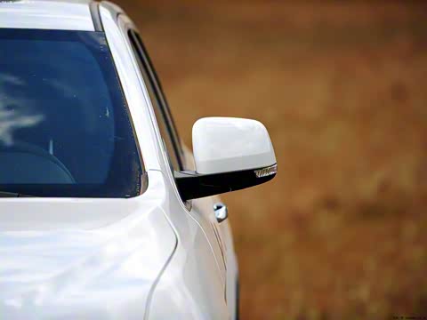 2014�� 3.0L ����������