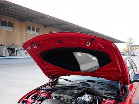 2013�� 316i �˶������װ