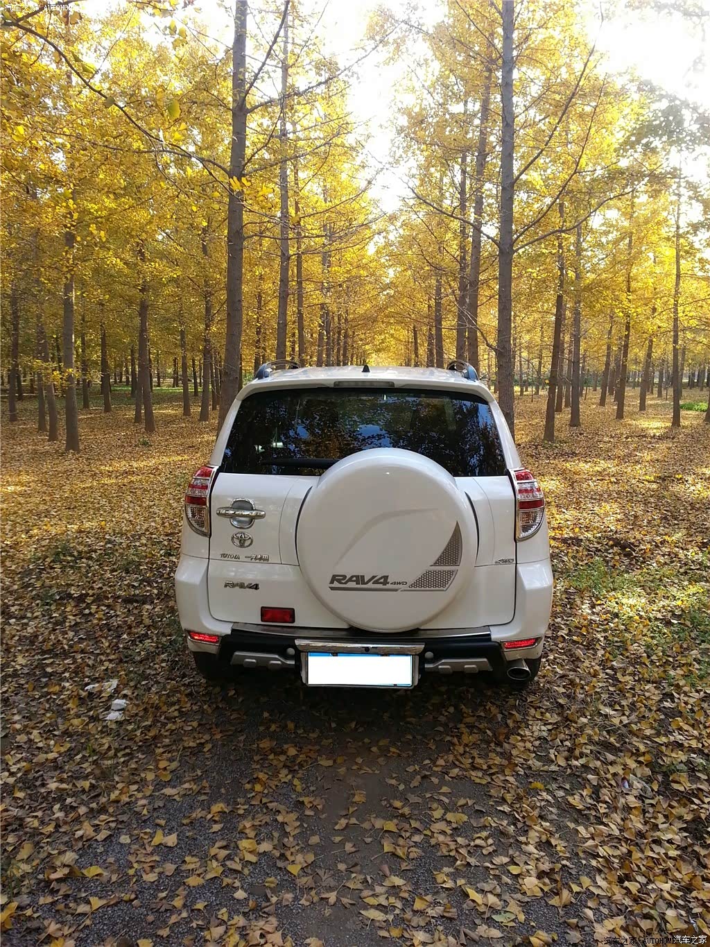 汽车图片 丰田 rav4荣放 2011款 2.