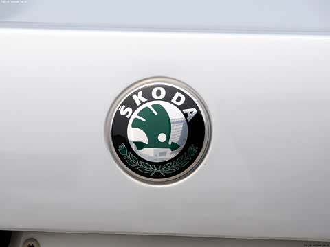 2013�� 1.4TSI �ֶ��ݿ���