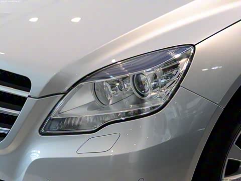 2010�� R 300 L ������