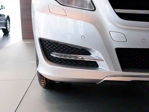 2010�� R 300 L ������