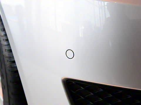 2010�� R 300 L ������