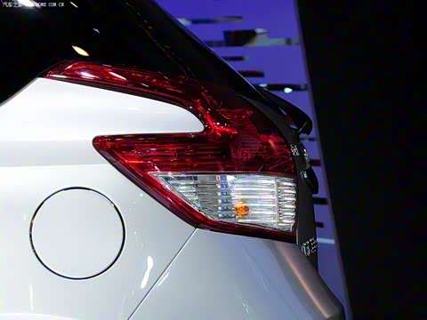 2014�� 1.5GS �Զ��񶯰�