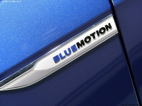 2014 BlueMotion