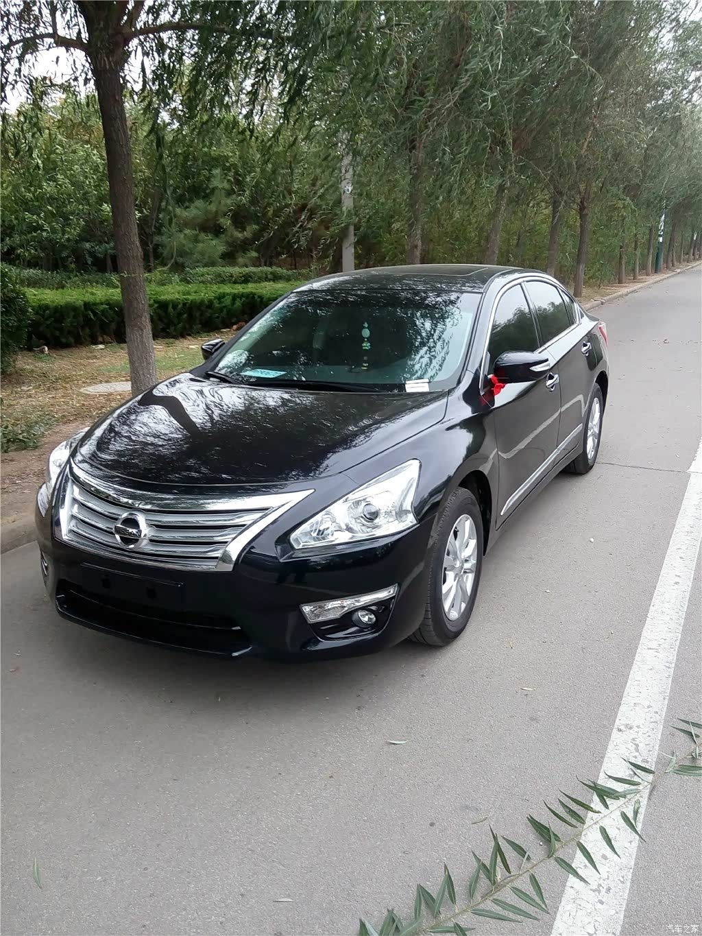 天籁2013款 2.0l xl舒适版 2710153图片_日产_汽车图库_汽车之家