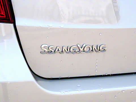 2015�� 2.0L �����ֶ��´���