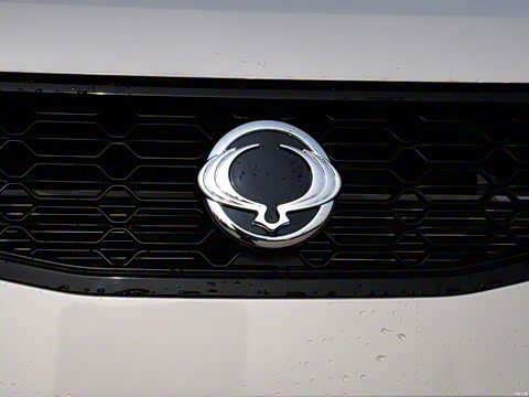 2015�� 2.0L �����ֶ��´���