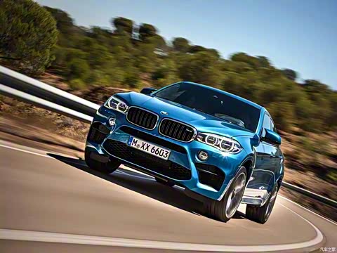2015�� X6 M