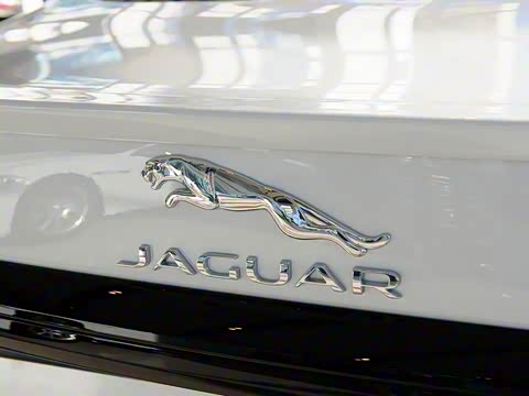 2014�� XF 3.0 SC Sport Club������