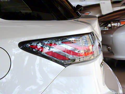 2014�� CT200h ���ʰ� ˫ɫ