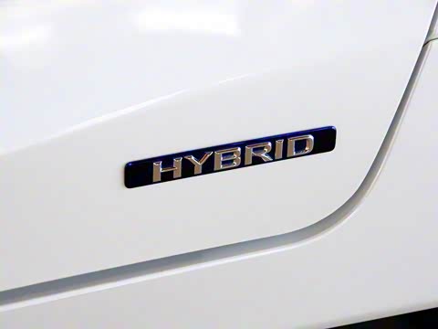 2014�� CT200h ���ʰ� ˫ɫ