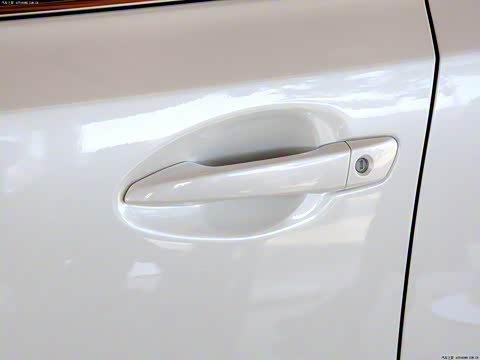 2014�� CT200h ���ʰ� ˫ɫ