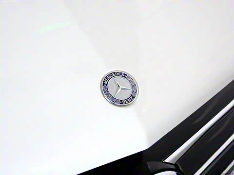 2011�� R 300 L ������