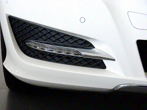 2011�� R 300 L ������