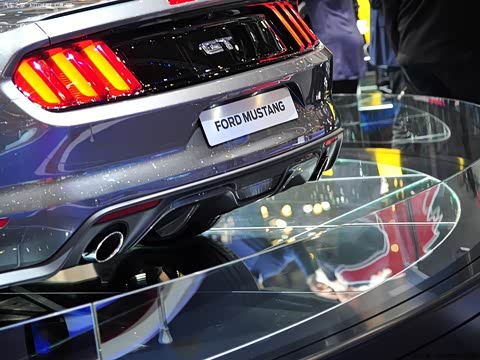 2015�� 5.0L GT�ֶ����������