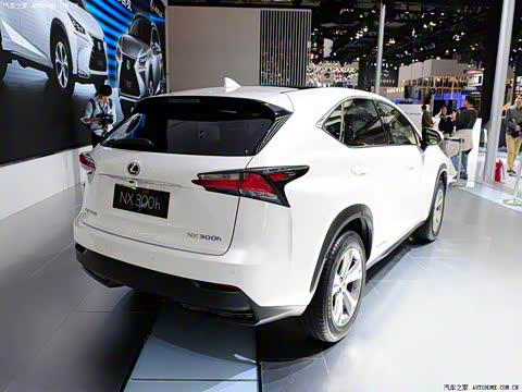 2015�� 300h ȫ�� ��â��