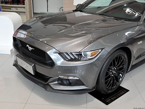 2015 5.0L GTֶ