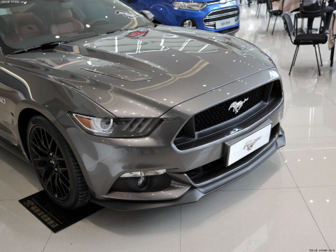 2015 5.0L GTֶ