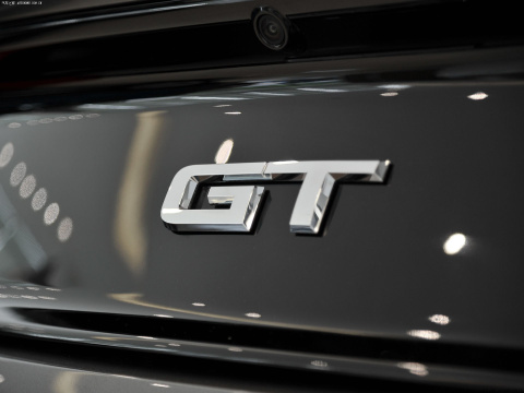 2015 5.0L GTֶ