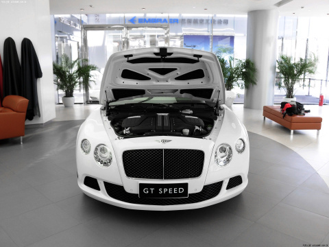 2013 6.0T GT Speed