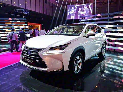 2015�� 300h ȫ�� ��â��