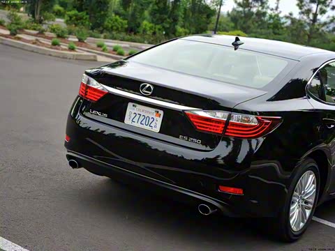 2013�� 250 ������