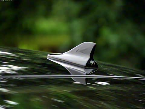 2013�� 250 ������