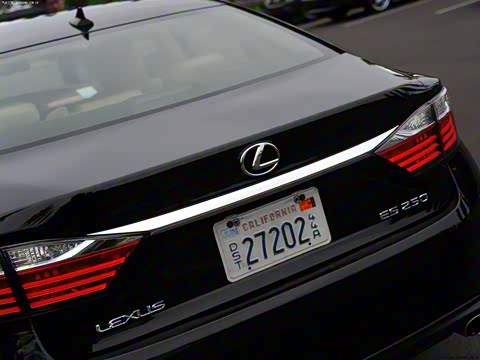 2013�� 250 ������