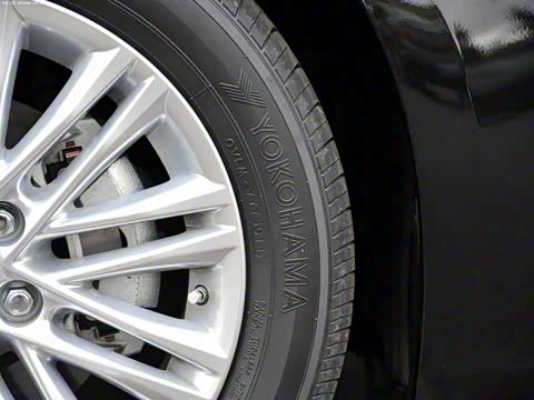 2013�� 250 ������