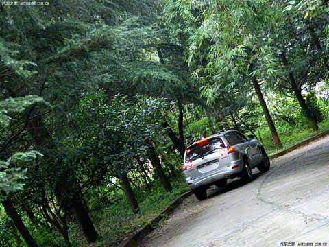 2010�� 1.9T ��ԭ�������