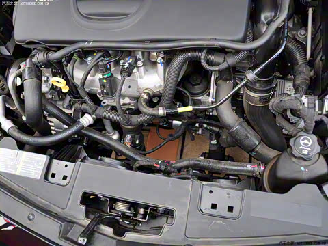 2009�� 2.0T �����˶���