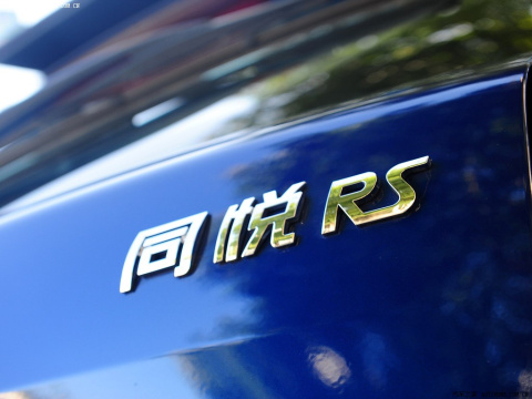 2009 RS 1.3L ֶ