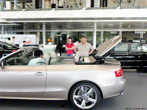 2010�� 2.0TFSI Cabriolet