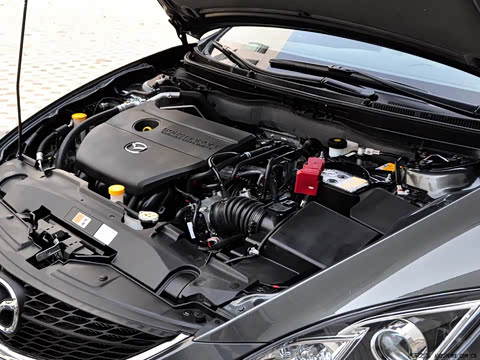 2009�� 2.5L �Զ������