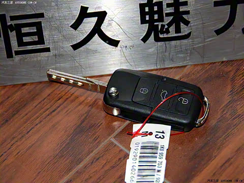 2009�� 2.0TSI �Զ����Ű�