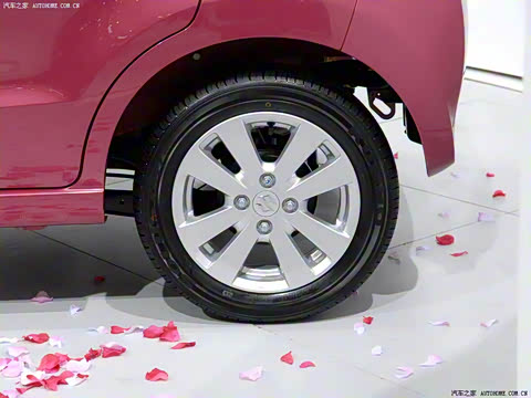 2009�� 1.0L �Զ�������