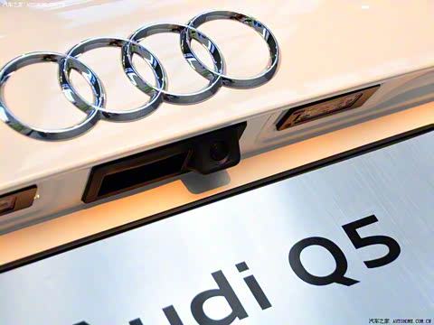 2010�� 2.0TFSI ԽҰ��