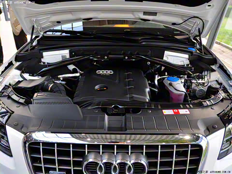 2010�� 2.0TFSI ԽҰ��