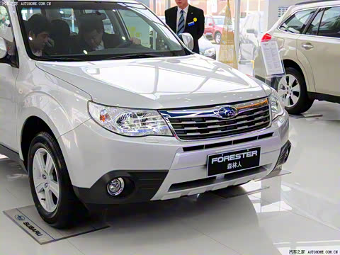 2010�� 2.0XS �Զ�������