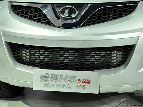 2010�� ŷ��� 2.4L ������������