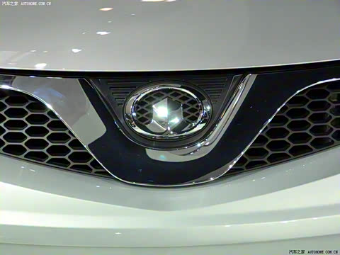 2010�� ŷ��� 2.4L ������������