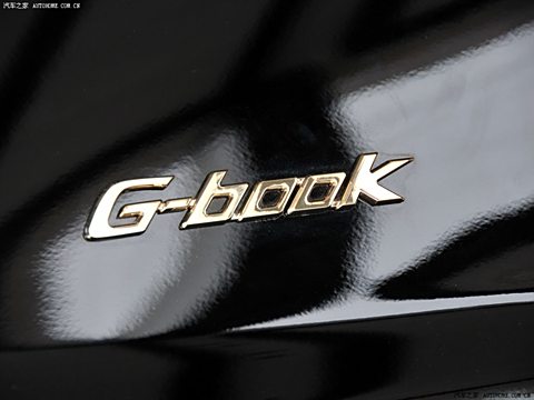 2010 240V Gbook캽